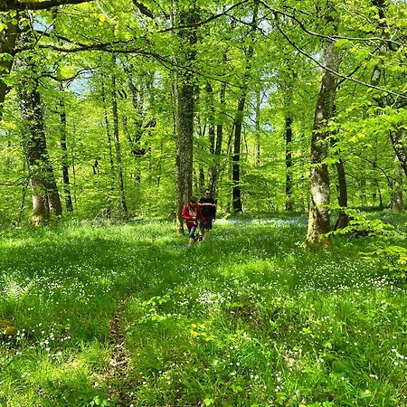 Maison Chaleureuse Avec Jardin - Pause Normande Sées Exteriör bild