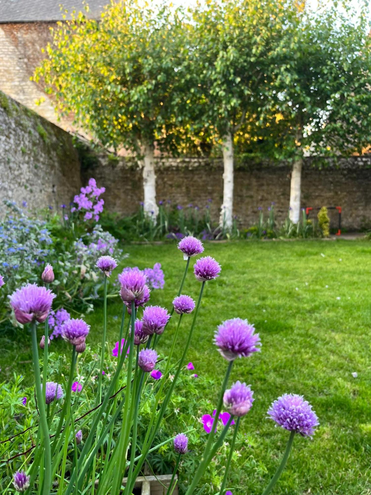 Maison Chaleureuse Avec Jardin - Pause Normande Sées Exteriör bild