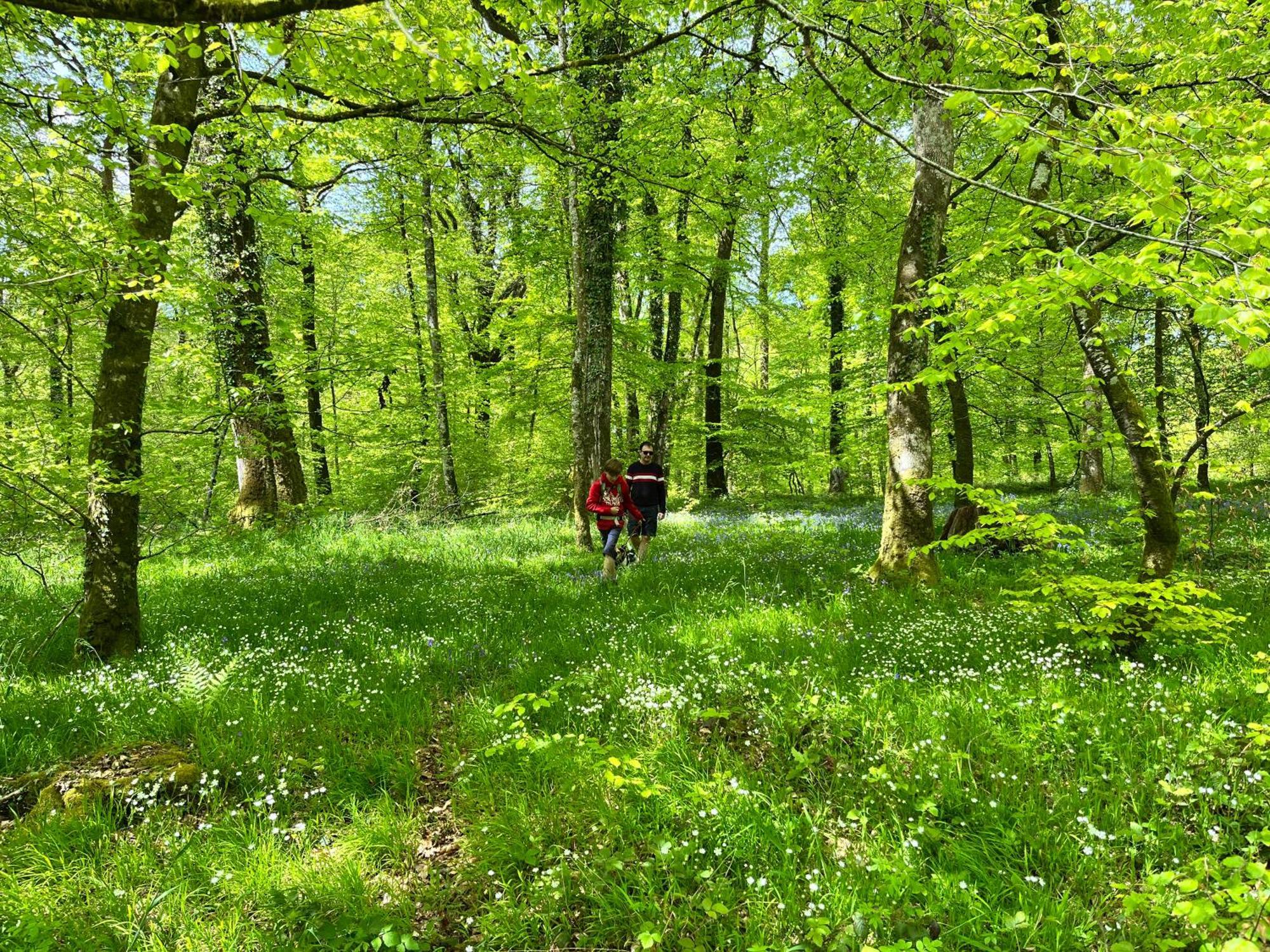 Maison Chaleureuse Avec Jardin - Pause Normande Sées Exteriör bild